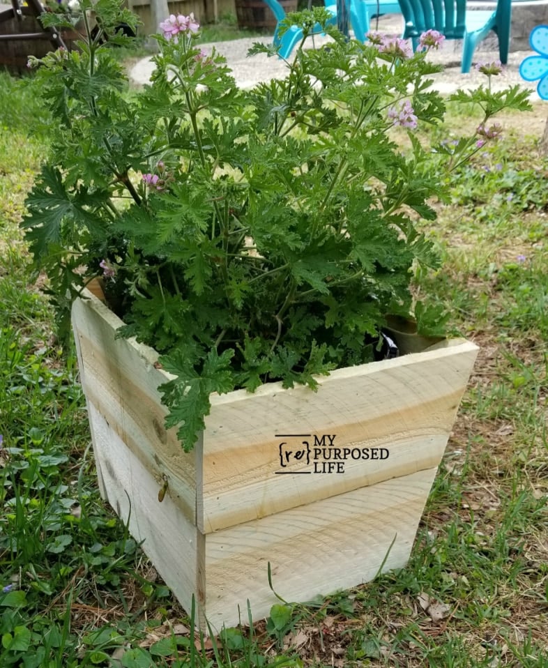 wooden plastic flower pot cover with a flowering plant