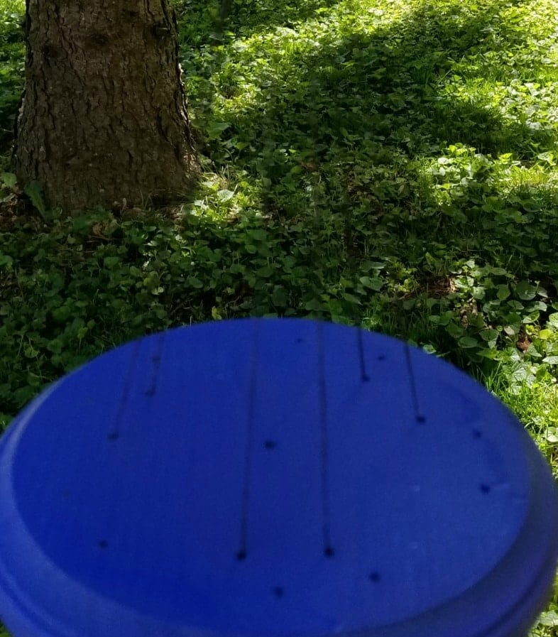 blue disc showing where wax threads are inserted