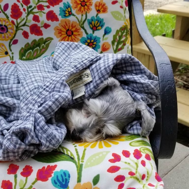 diy outdoor cushion covers