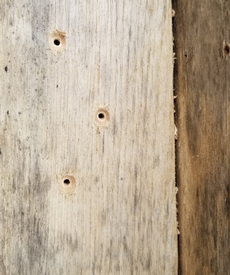 countersink holes