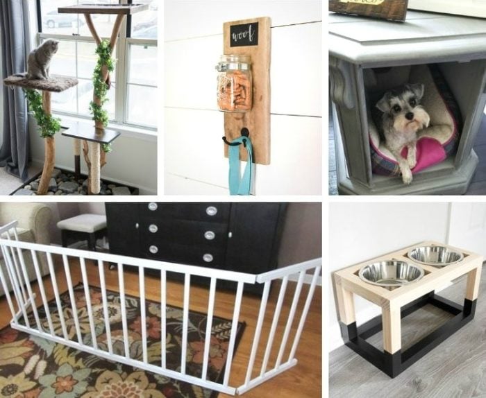 Pet Projects - DIY ideas for your furbabies
