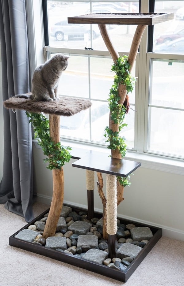 diy cat tree using a real tree