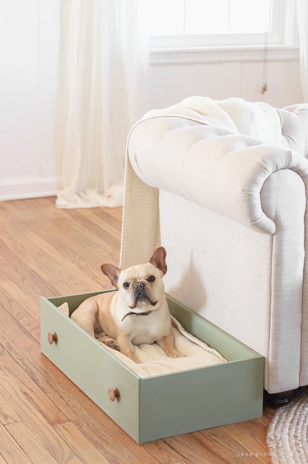 dog bed made from a dresser drawer
