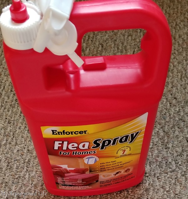 enforcer flea spray for homes