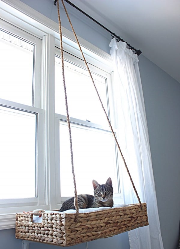 hanging window cat basket
