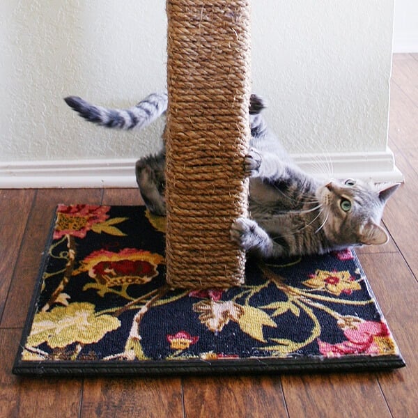 make your own cat scratching post