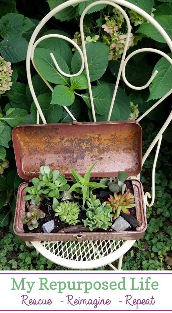 metal ice cream chair with vintage toolbox planter holding succulents MyRepurposedLife