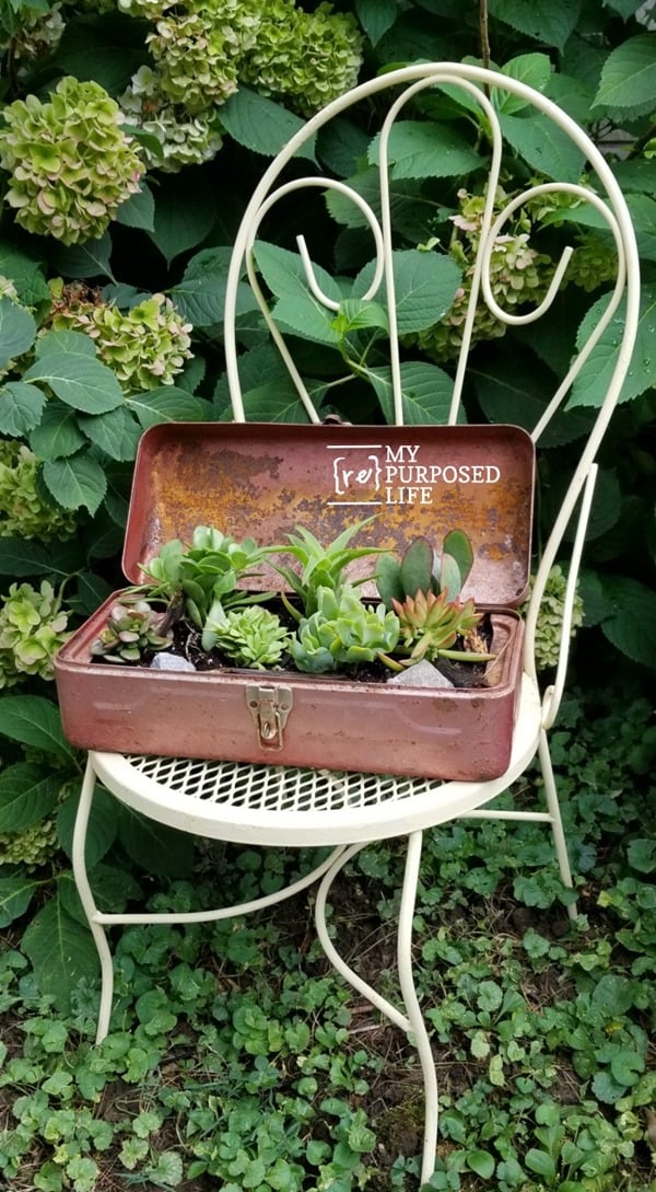 repurposed vintage toolbox planter with succulents MyRepurposedLife