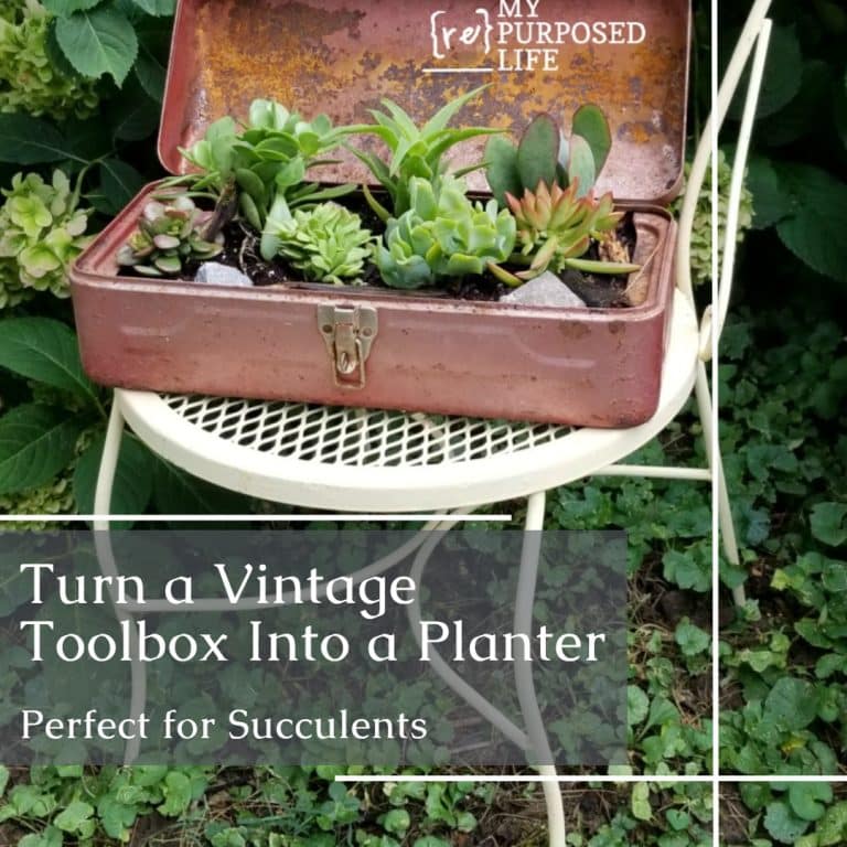 Vintage Toolbox Planter