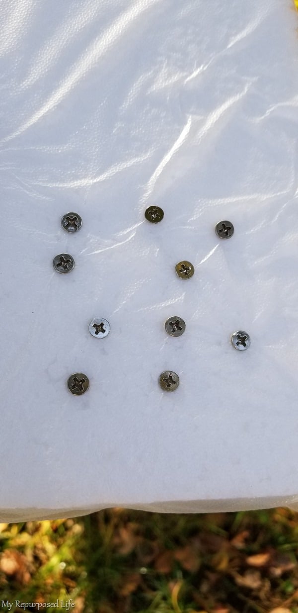spray paint screws using styrofoam