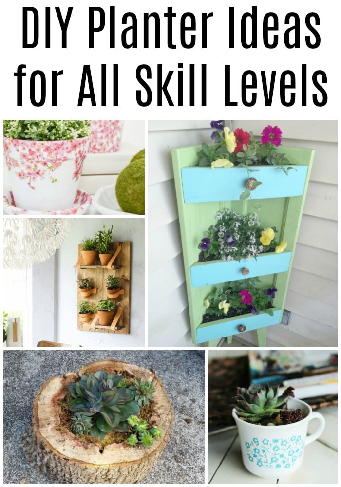 Planter Ideas for All Skill Levels
