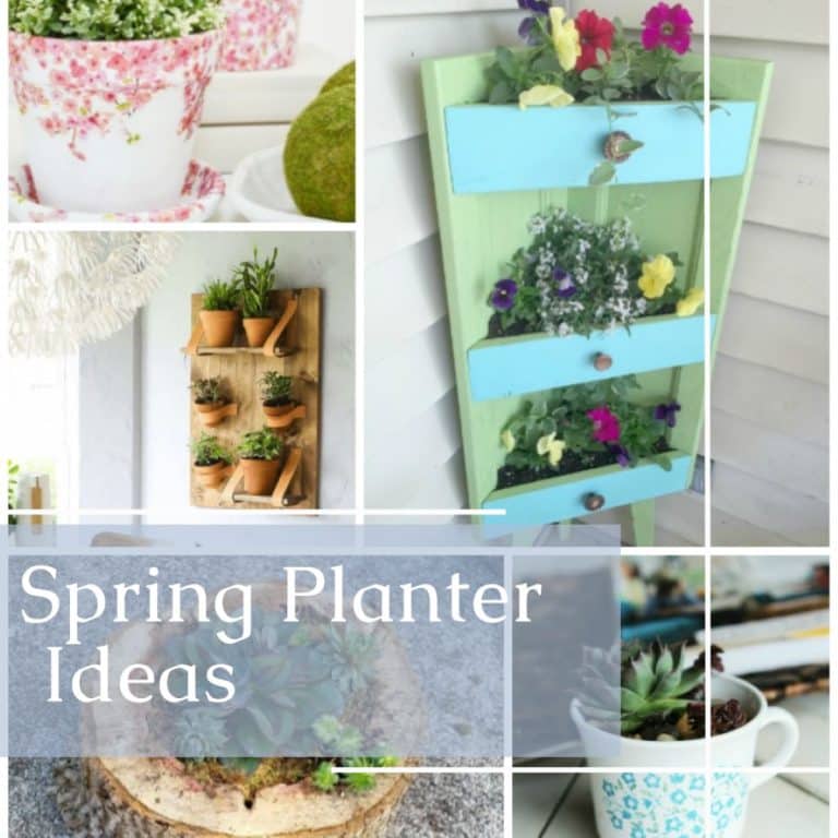 DIY Planter Ideas For All Skill Levels