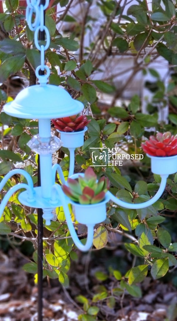 succulent planter repurposed chandelier MyRepurposedLife
