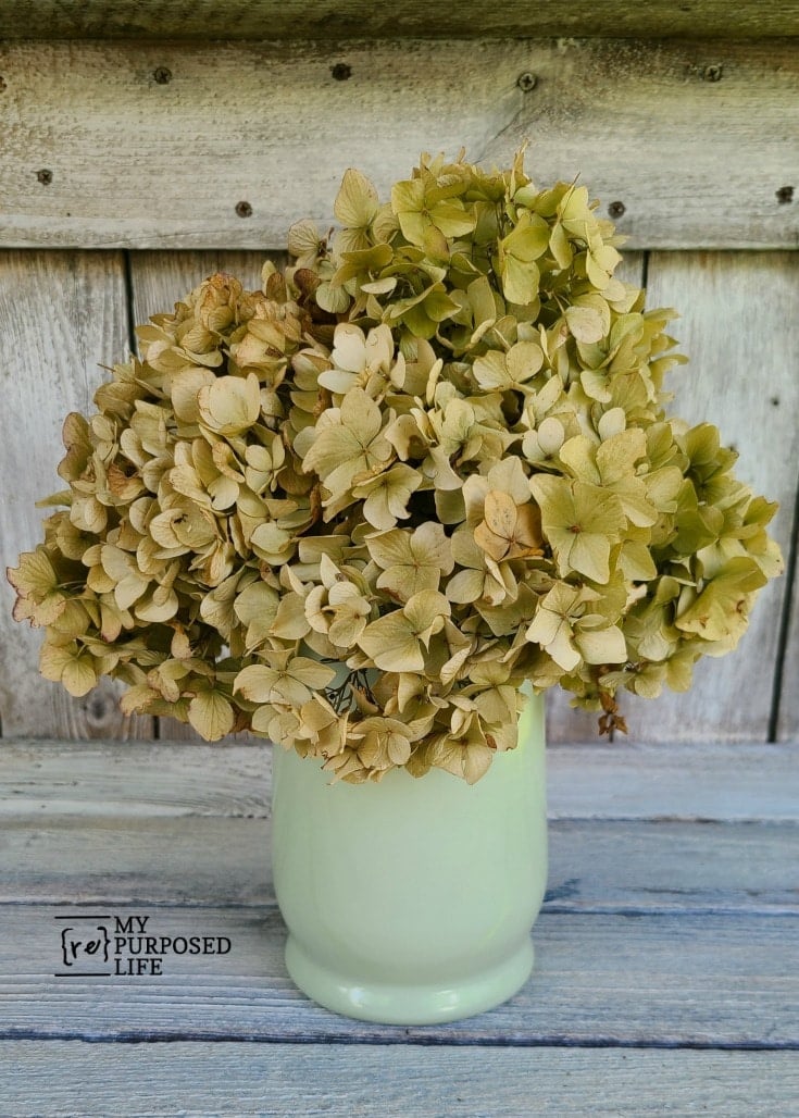 dried hydrangeas in a spray painted glassware vase MyRepurposedLife