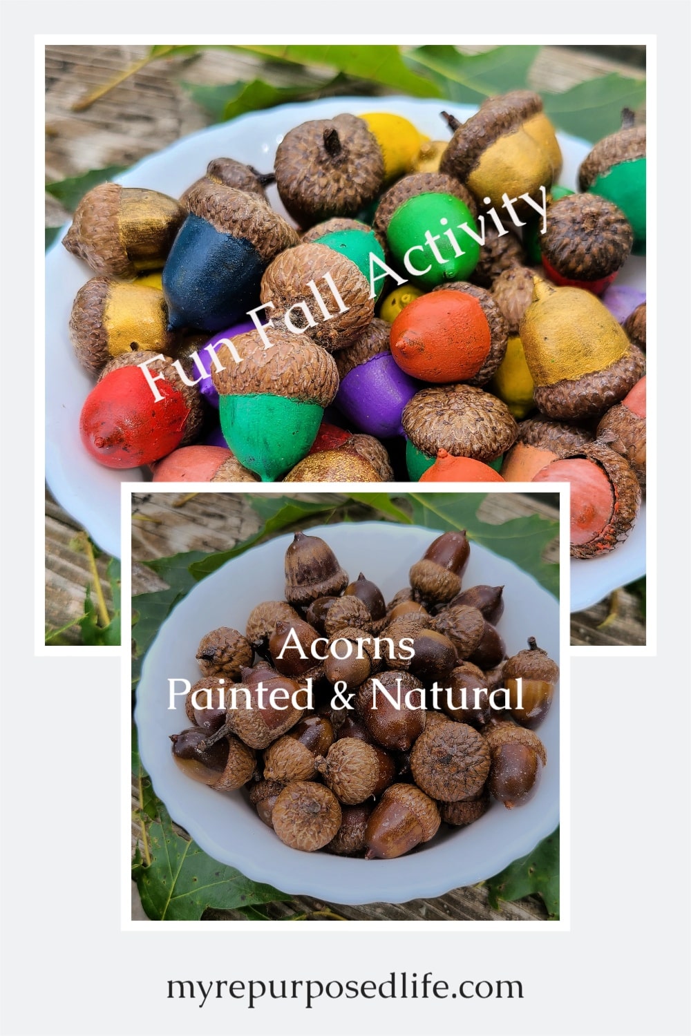 Have you ever seen painted acorns? I'm going to show you how to prep and paint acorns from your yard. Step by step details on drying, baking, painting and sealing. A great Fall decor project. #MyRepurposedLife #repurposed #acorns #fall #decor via @repurposedlife