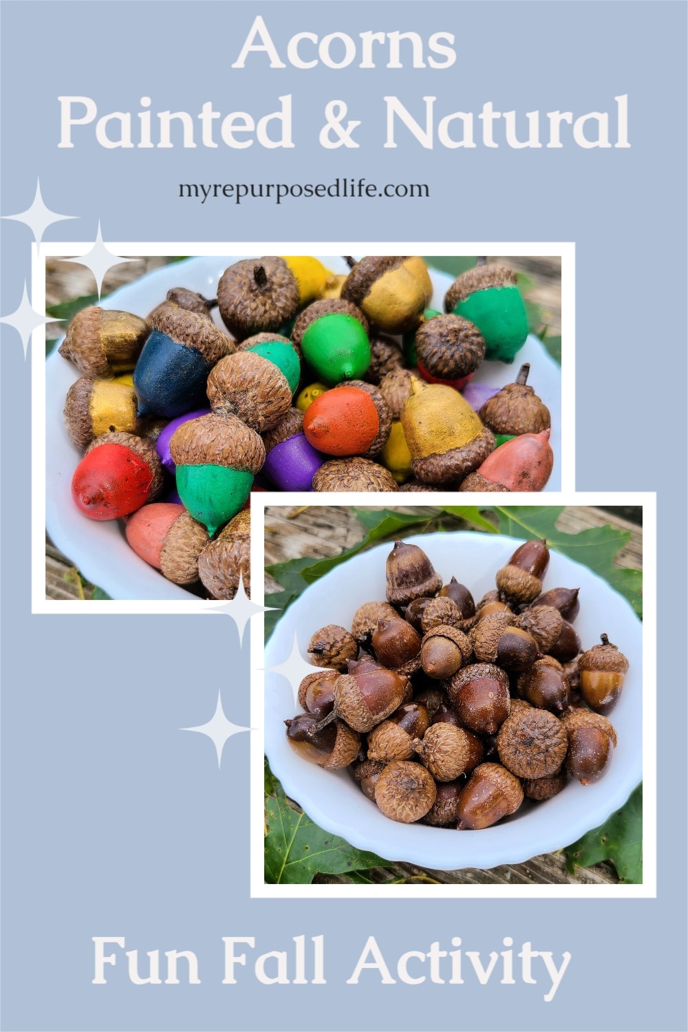 Have you ever seen painted acorns? I'm going to show you how to prep and paint acorns from your yard. Step by step details on drying, baking, painting and sealing. A great Fall decor project. #MyRepurposedLife #repurposed #acorns #fall #decor via @repurposedlife