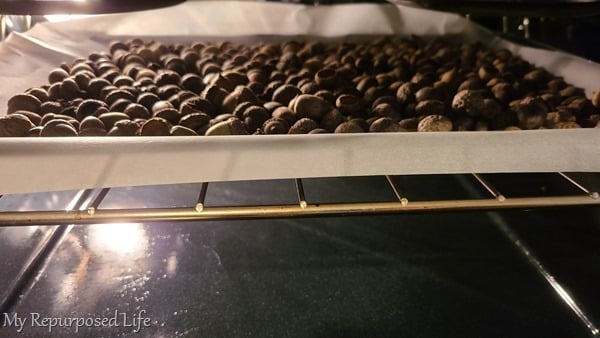 place acorns on cookie sheet