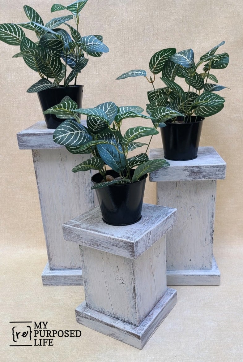 6x6 white washed plant pedestals with plants resting on top