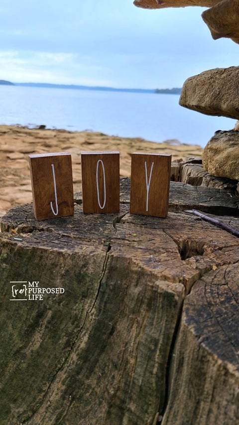 joy letters on a tree stump MyRepurposedLife