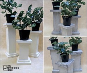 Chunky Pedestals Candle Plant Holders