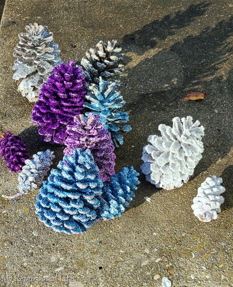 glitter pinecones drying in the sun