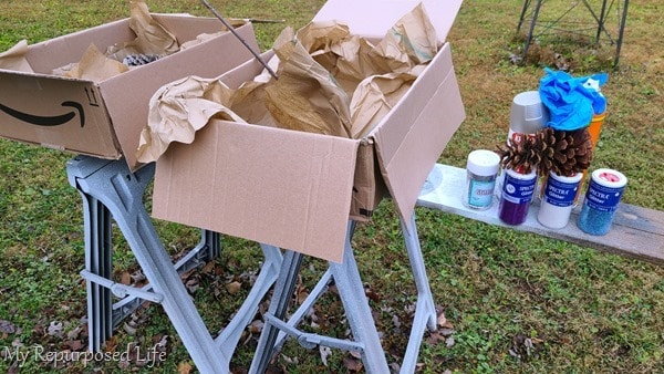 set up for putting glitter on pine cones set up for putting glitter on pine cones