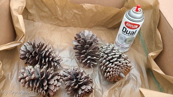spray paint pine cones