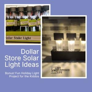 fun solar light ideas for any season