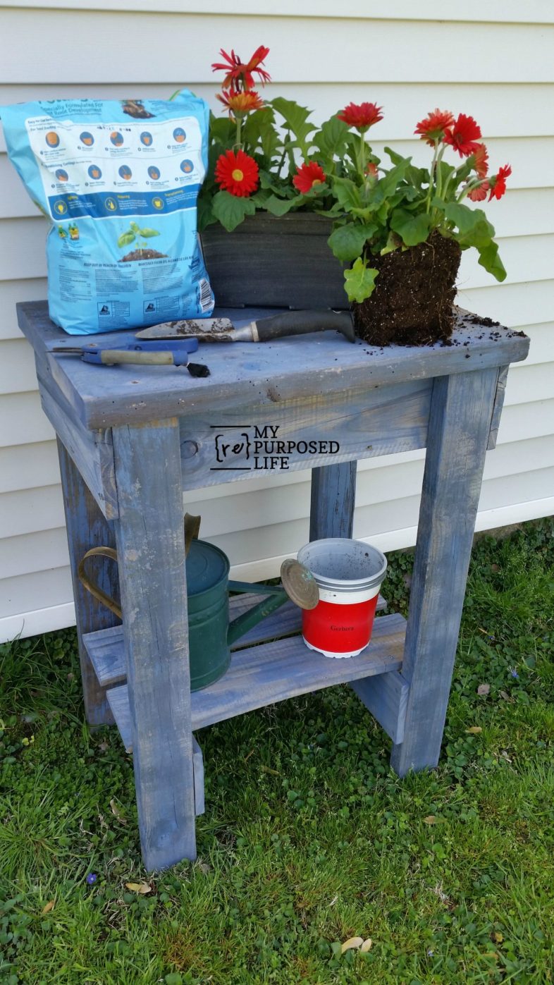 blue garden table with flowers and potting soil