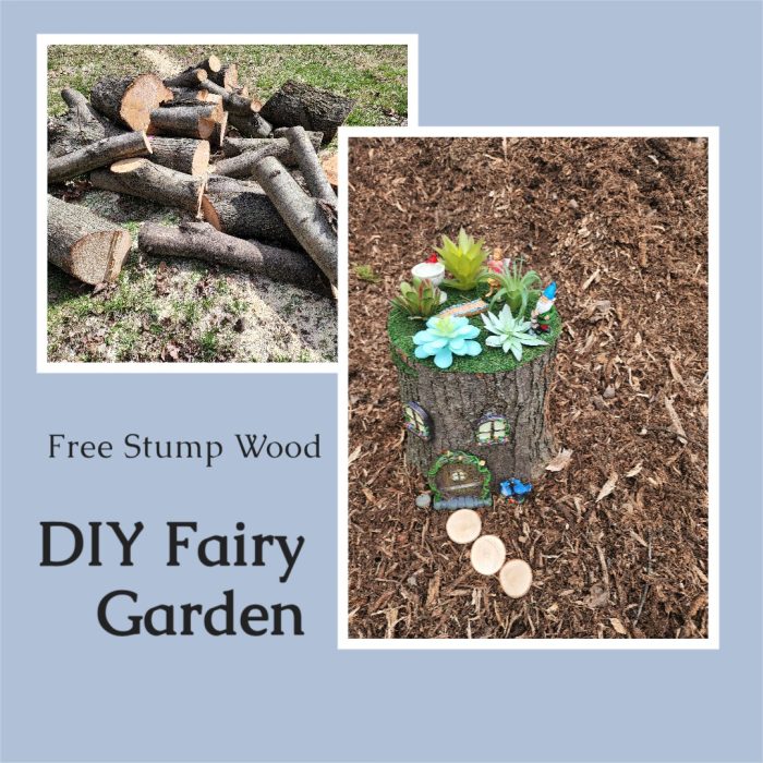Fairy Garden | Tree Stump