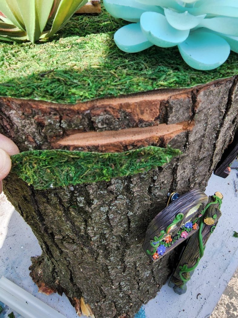 small gash in the side of the stump bark