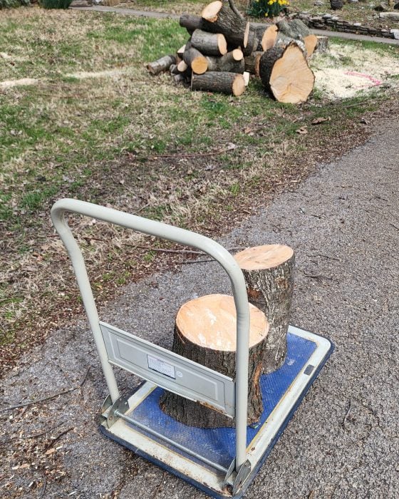 tree stumps on cart