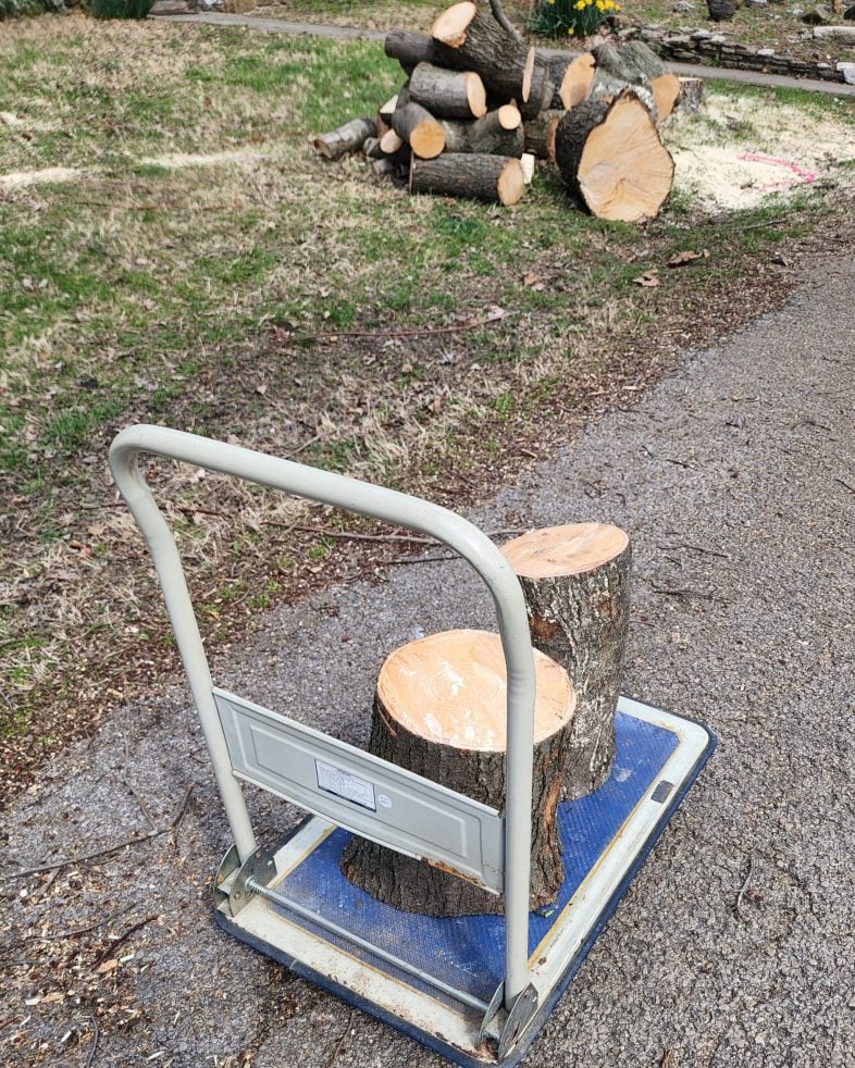 two logs on a dolly