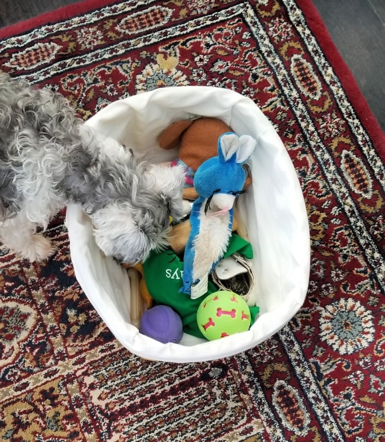 puppy sniffing toys in a small basket