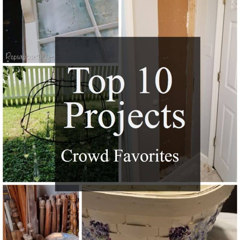 Top Ten Projects 2022 | Crowd Favorites