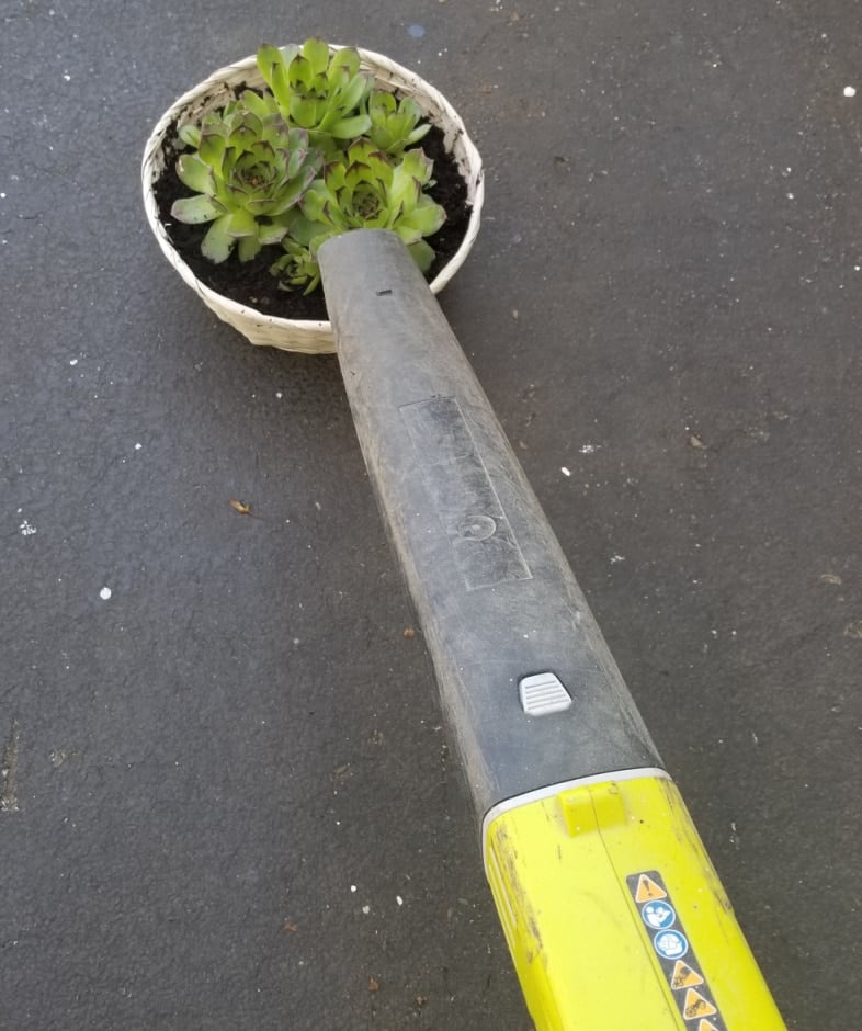 a leaf blower and basket of succulents