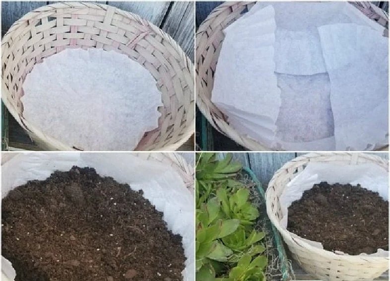 line-wicker-basket-with-extra-large-coffee-filters