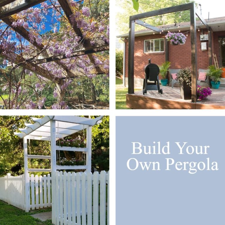 Pergola | Do It Yourself