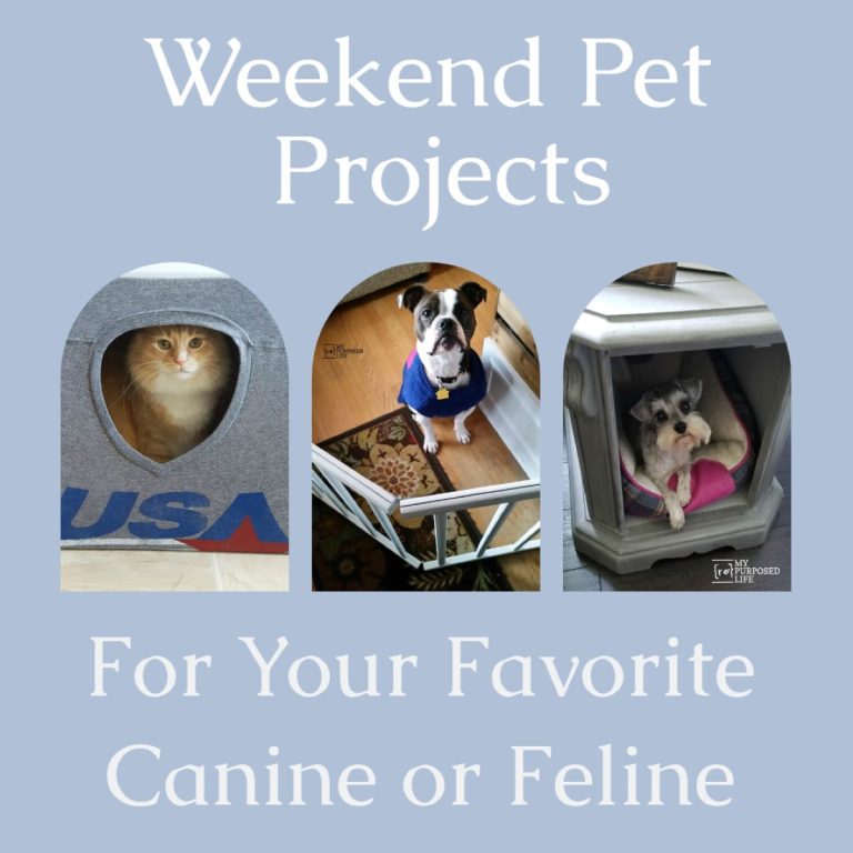Weekend DIY Pet Projects!