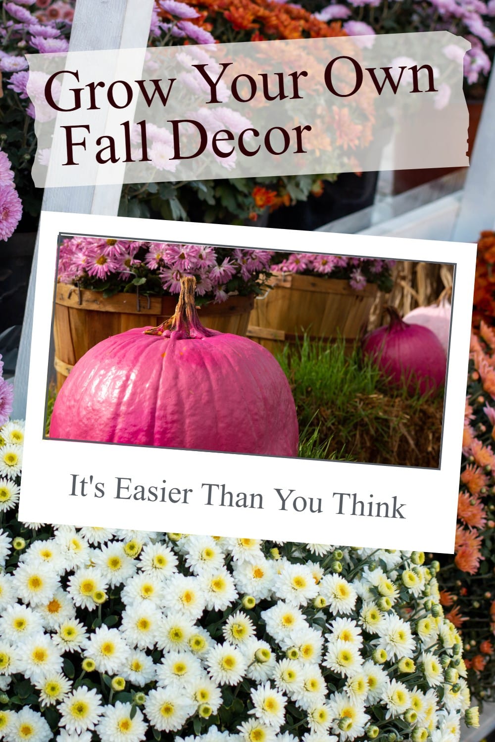 Grow your own Fall porch decor! Think pumpkins, mums, acorns and more. Tips for Autumn decor ideas using your own green thumb. via @repurposedlife