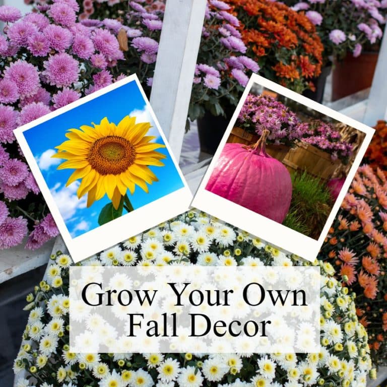 Fall Porch Decor | Grow Your Own