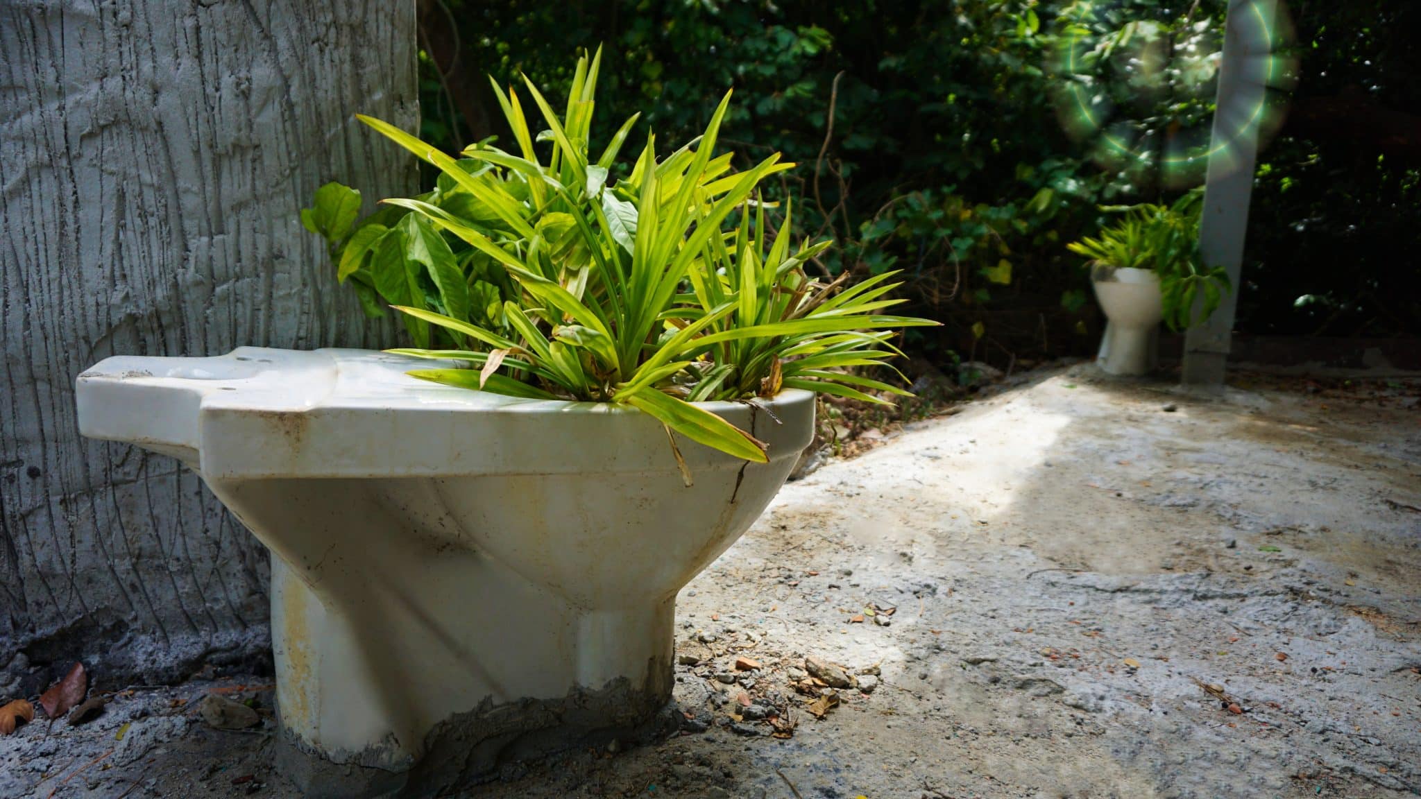 Choosing the Right Outdoor Planters for Your Space - My Repurposed Life®