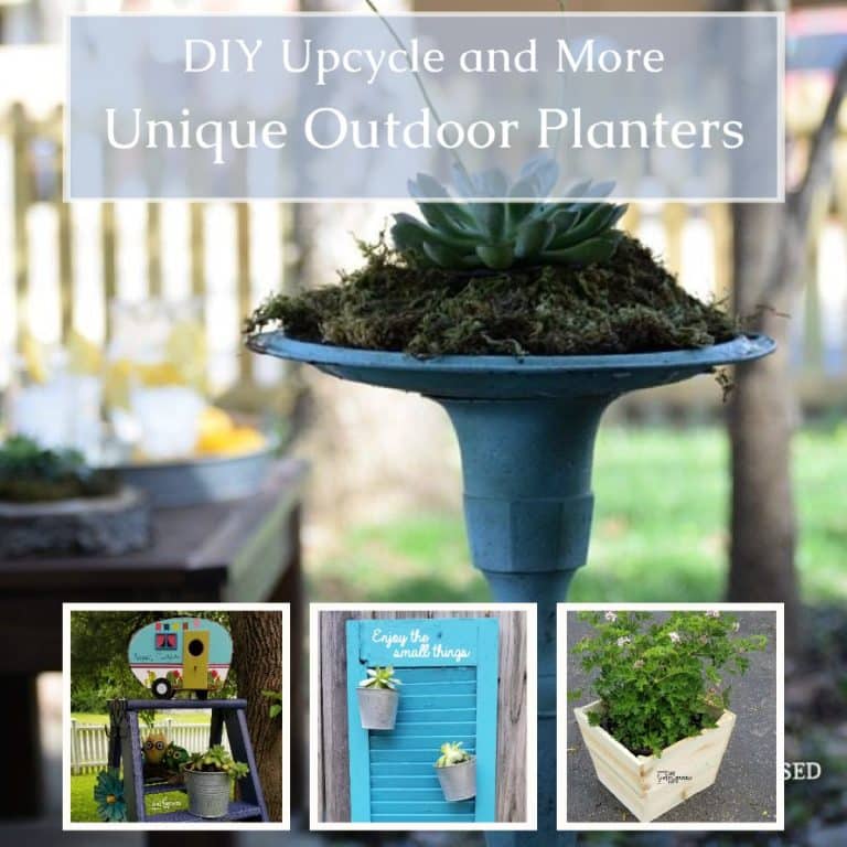 Choosing the Right Outdoor Planters for Your Space