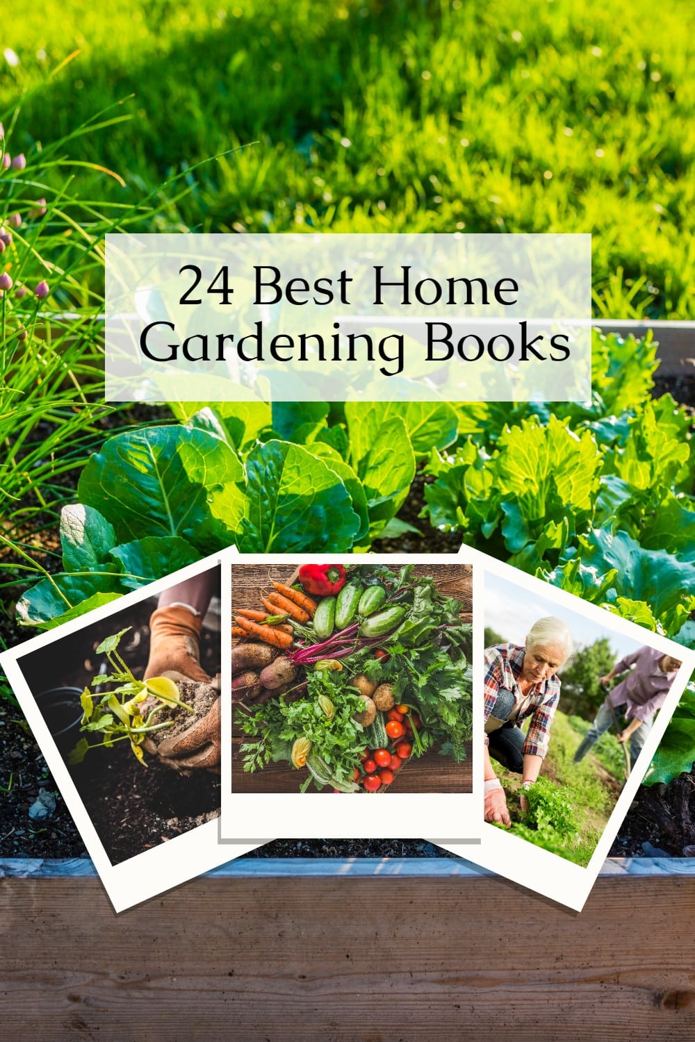 A list of the best gardening books for novice gardeners, those who want to make a living, and everything in between. What are you growing? via @repurposedlife