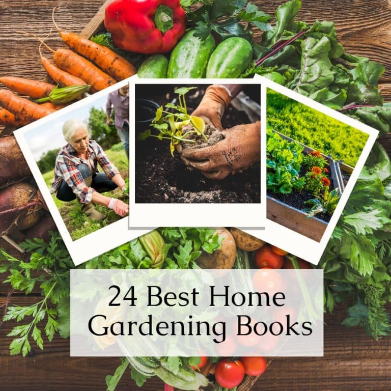 Top Gardening Books to Cultivate Your Passion