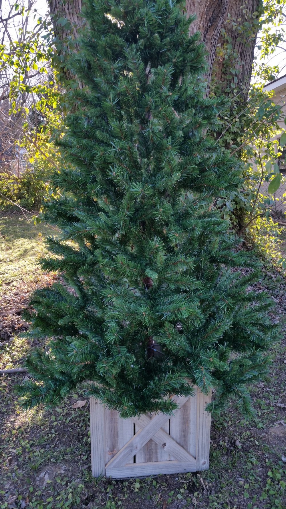 chirstmas tree stand outside