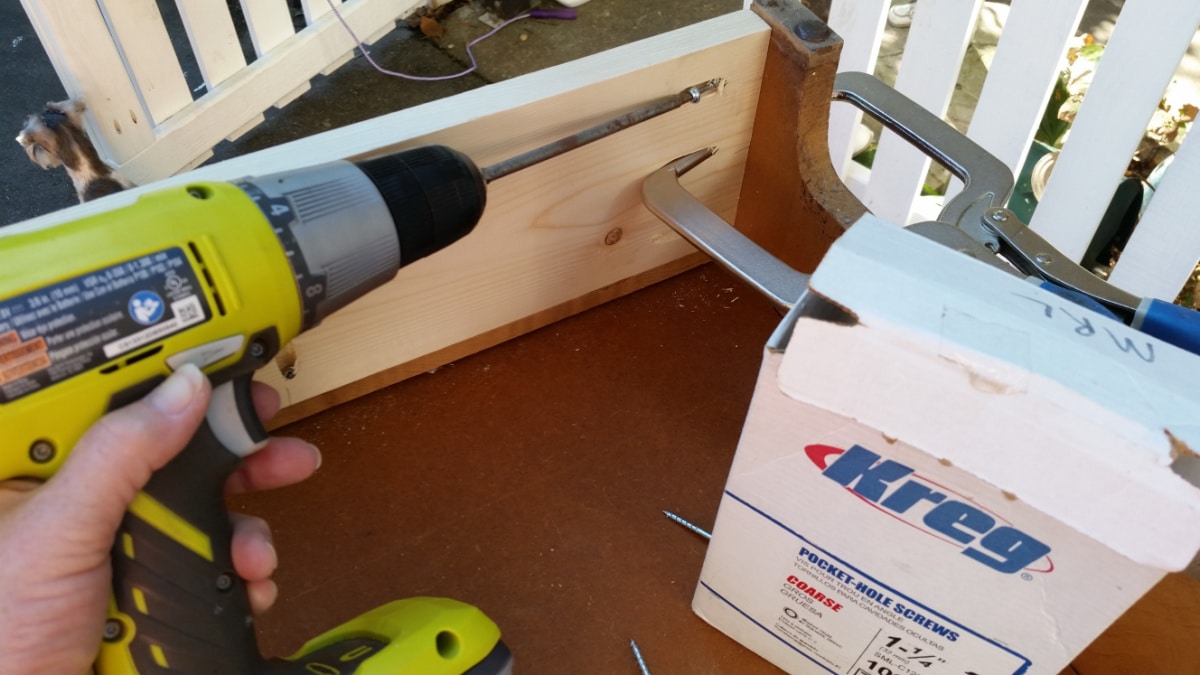 pocket hole screws