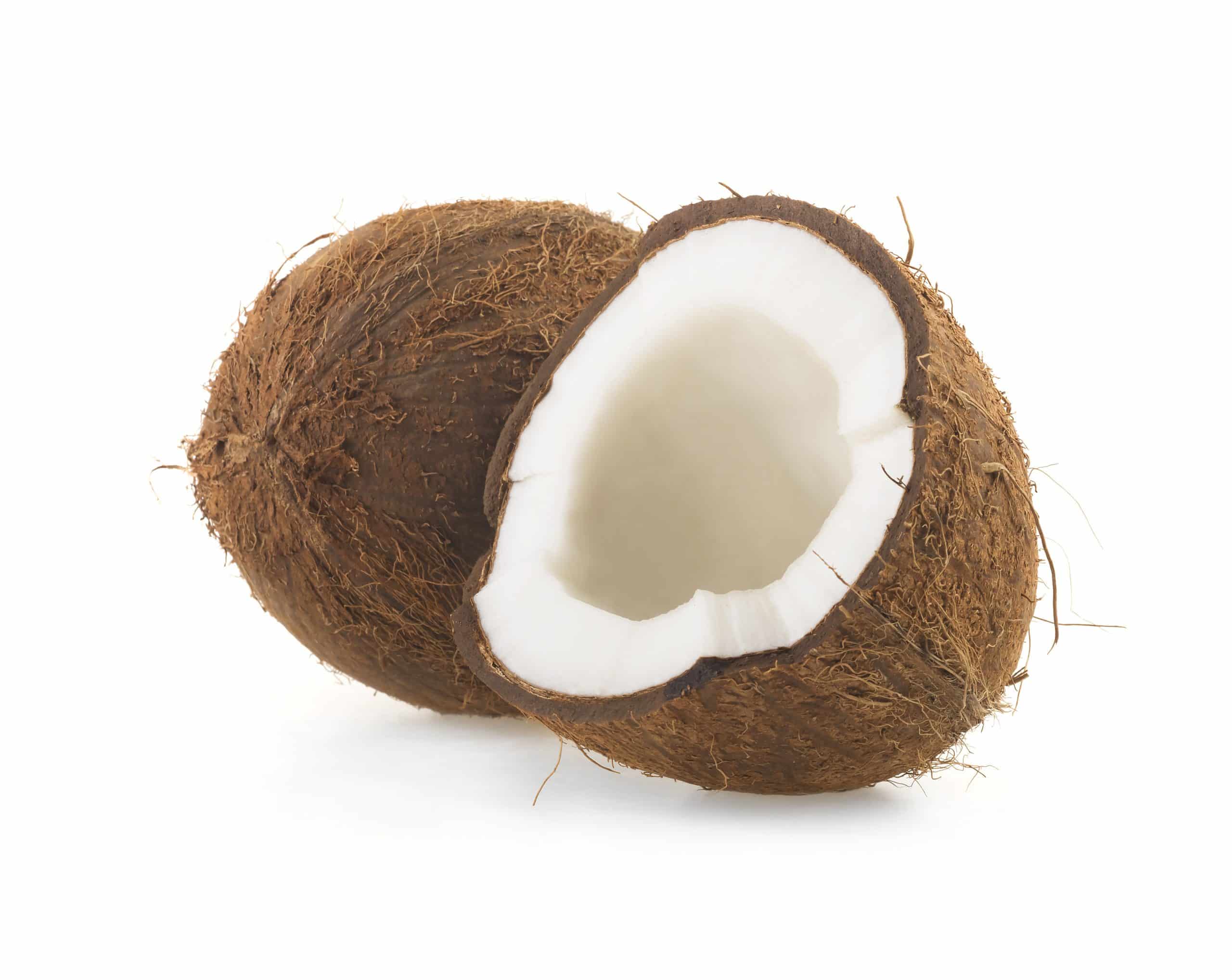 coco coir from a coconut husk