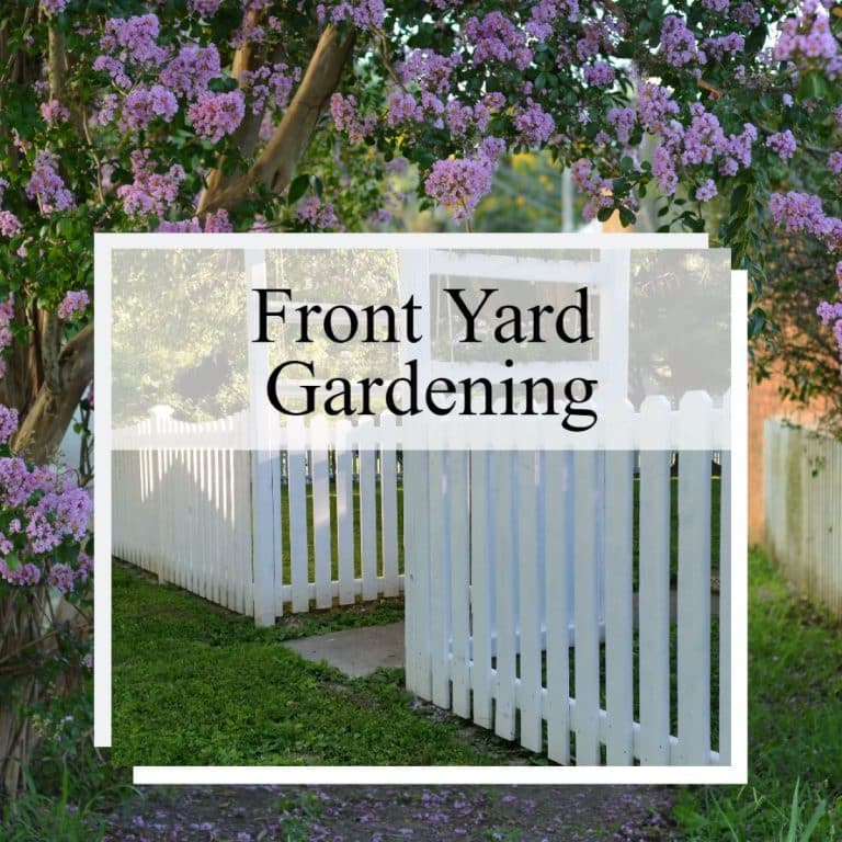Creating a Front Yard Garden