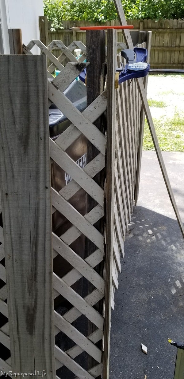 washing old lattice with garden hose washing old lattice with garden hose